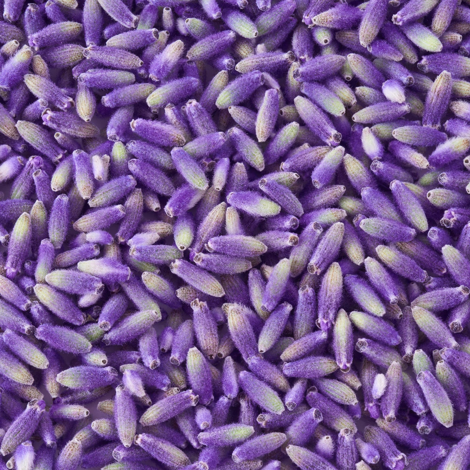 KISSEN Austria ergonomisches Kissen mit Heilpflanzen für Nachhaltigkeit