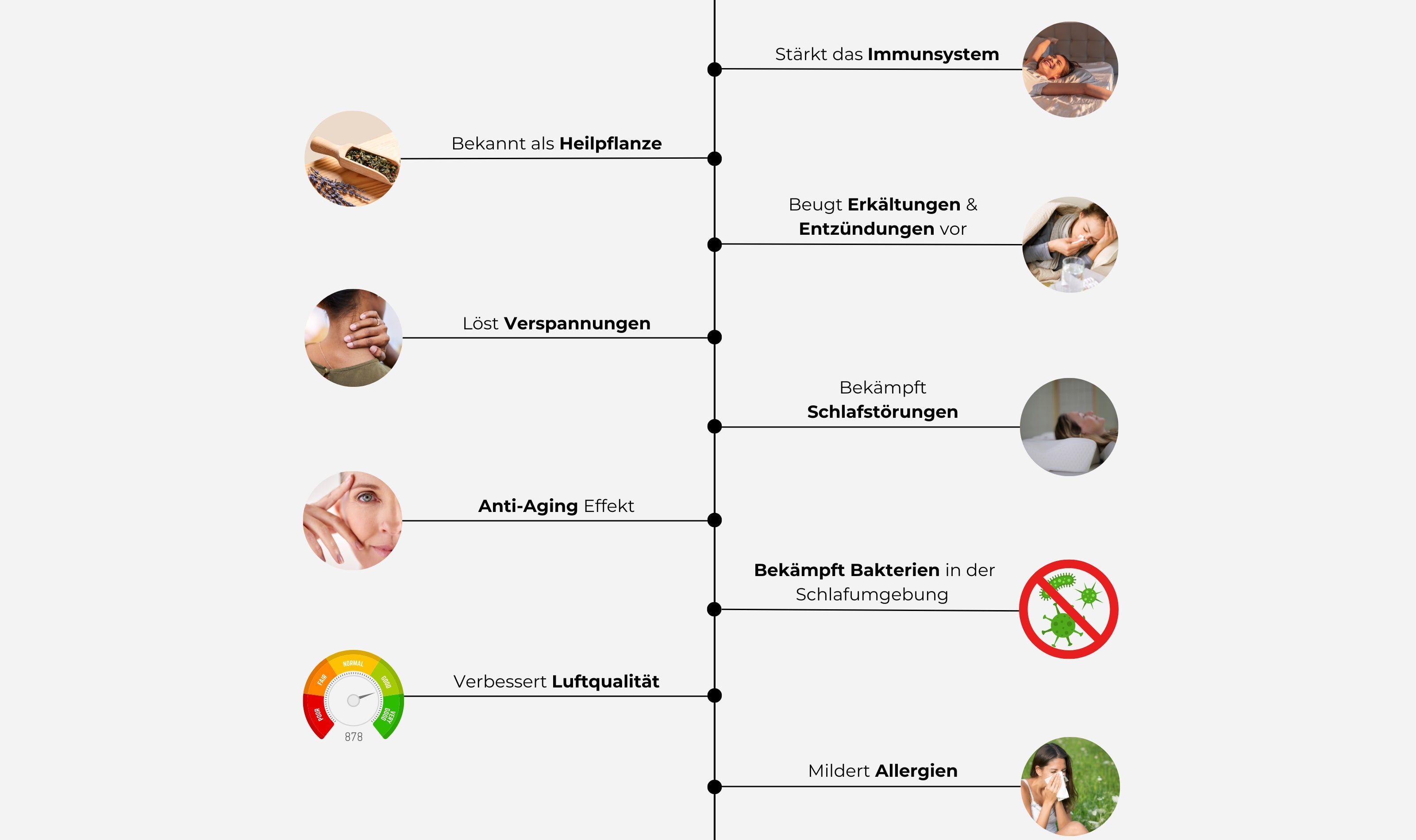 KISSEN Austria ergonomisches Kissen mit Heilpflanzen alle Vorteile auf einen Blick