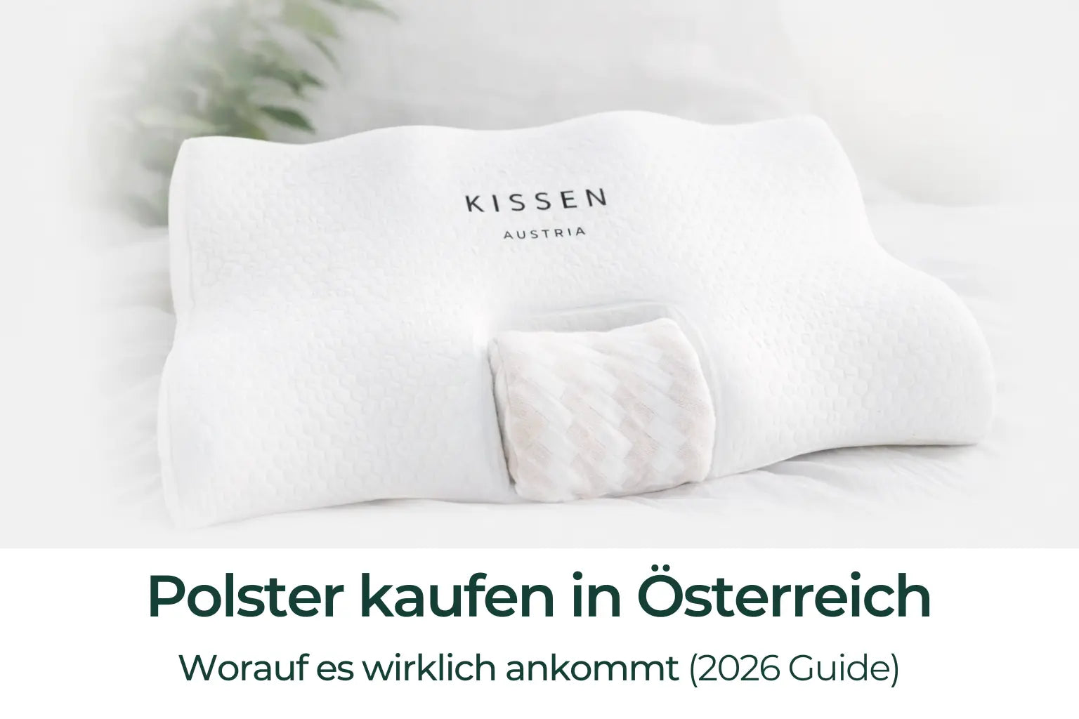 Polster kaufen in Österreich: Worauf es wirklich ankommt (2026 Guide)